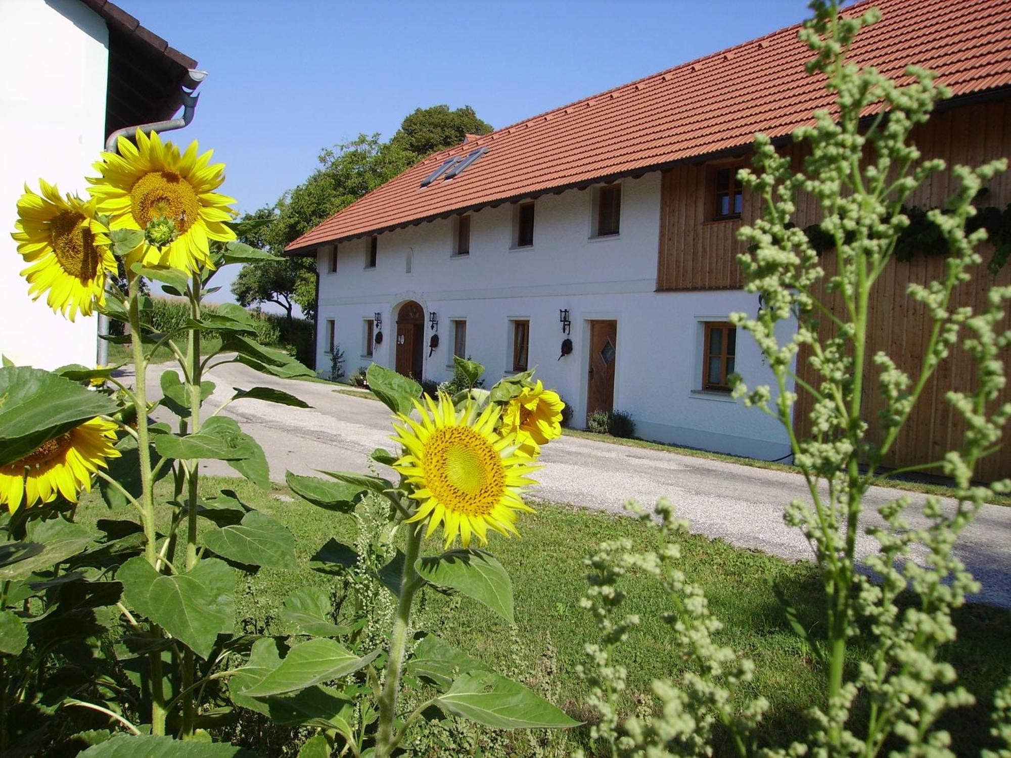 Vitalhof Roithinger Grieskircheni járás Kültér fotó